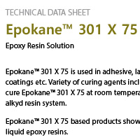 epokane_301